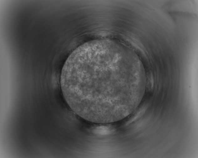 X0000091890236200709261645