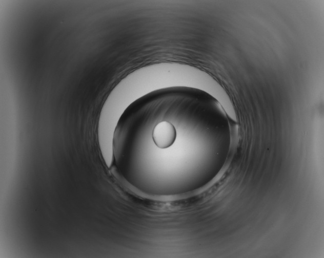 X0000091890239200709261645