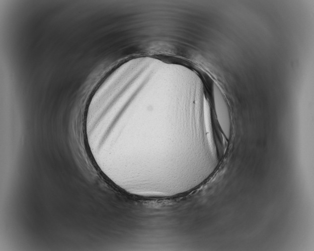 X0000091890241200709261644