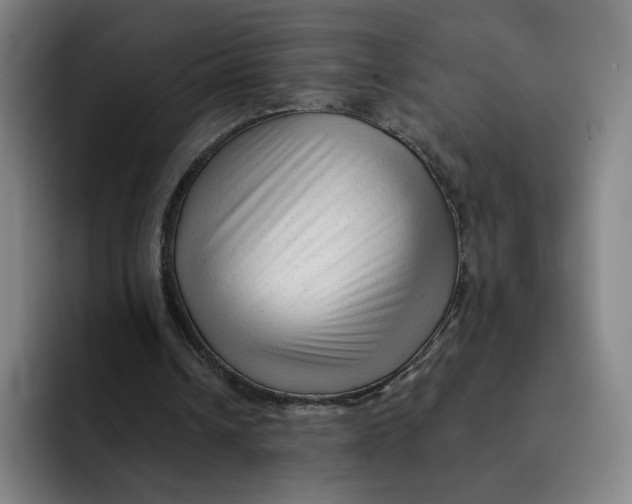 X0000091890242200709261644