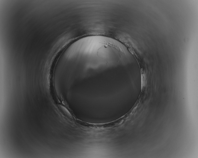 X0000091890243200709261644