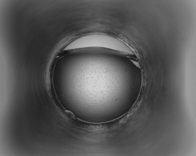 X0000091890245200709261644