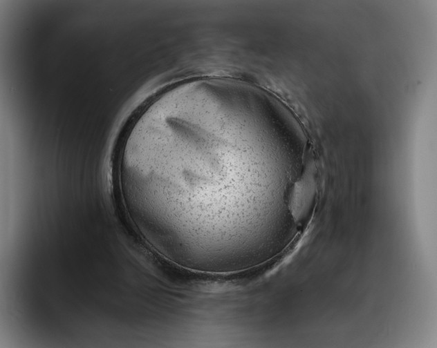 X0000091890246200709261644