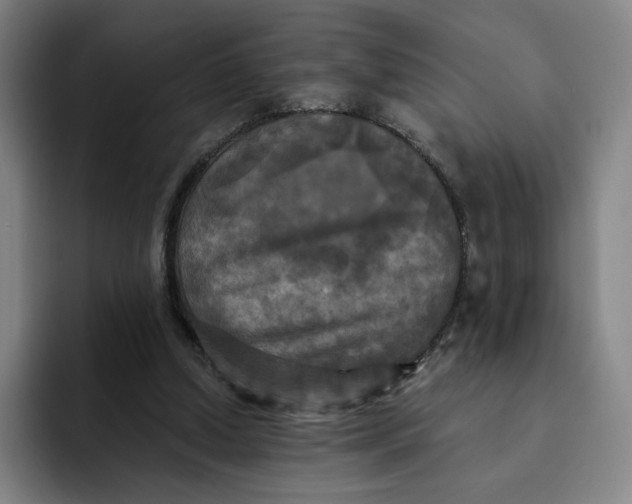 X0000091890250200709261645