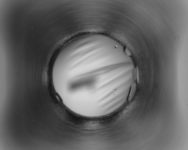 X0000091890252200709261645