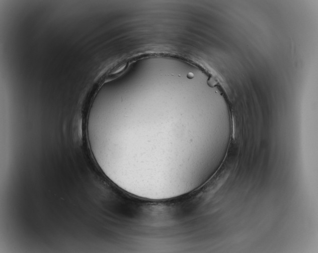 X0000091890253200709261645