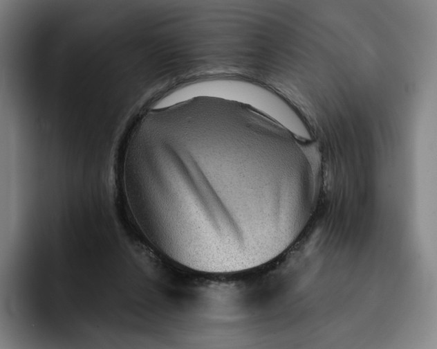 X0000091890256200709261645
