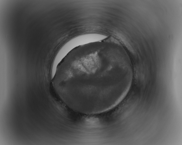X0000091890258200709261645