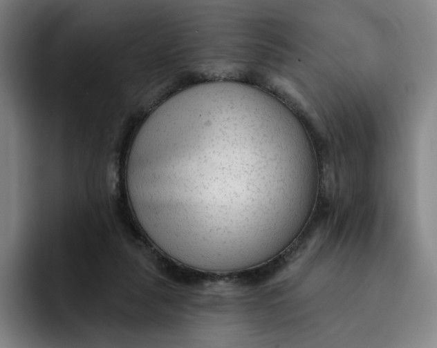 X0000091890259200709261645