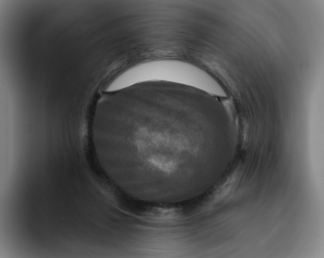 X0000091890260200709261645