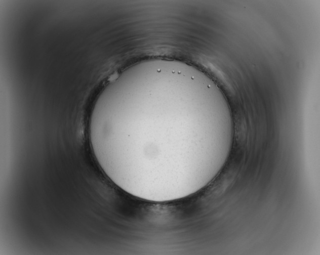 X0000091890261200709261645