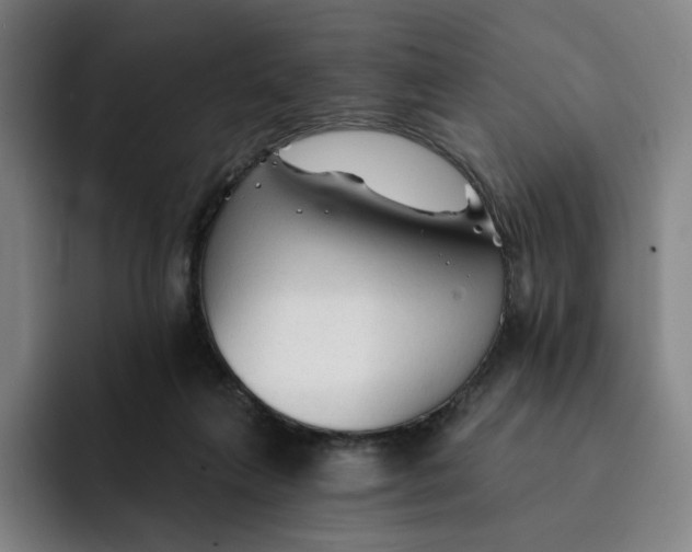 X0000091890263200709261645