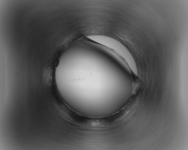X0000091890264200709261645