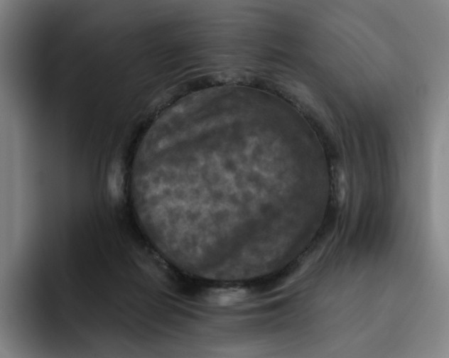 X0000091890266200709261645