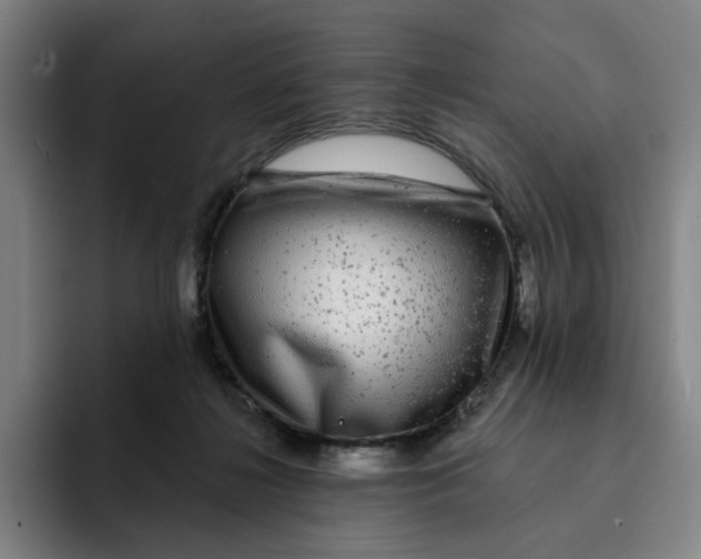 X0000091890268200709261645