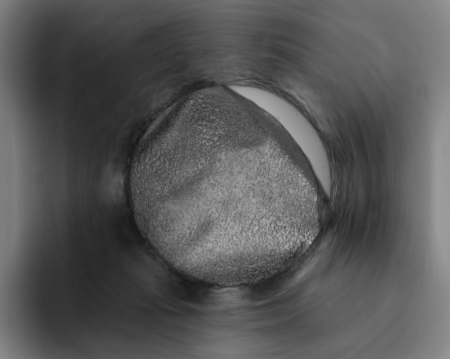 X0000091890269200709261645
