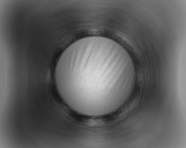 X0000091890270200709261645
