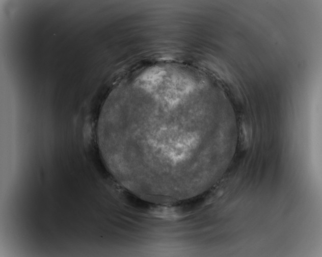 X0000091890276200709261645