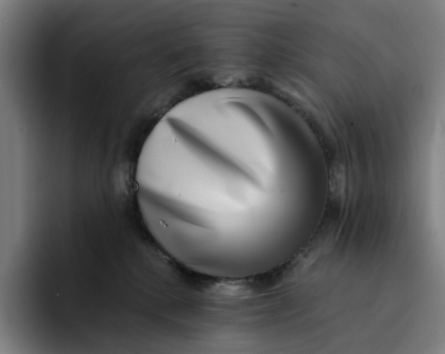 X0000091890280200709261645