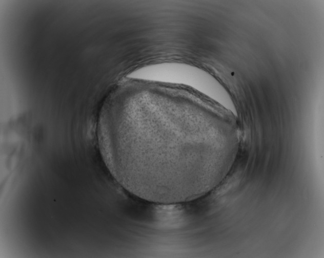 X0000091890281200709261645