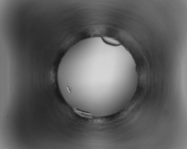 X0000091890282200709261645