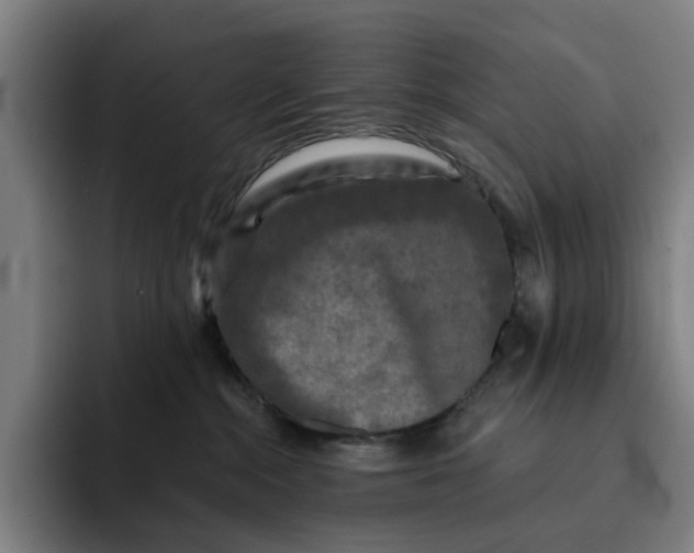 X0000091890284200709261645