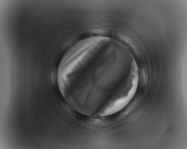 X0000091890285200709261645