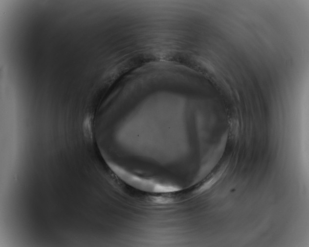 X0000091890286200709261645