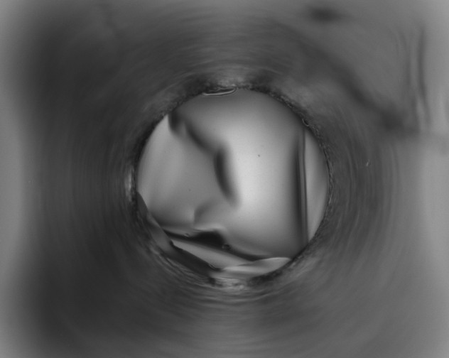 X0000091890288200709261645
