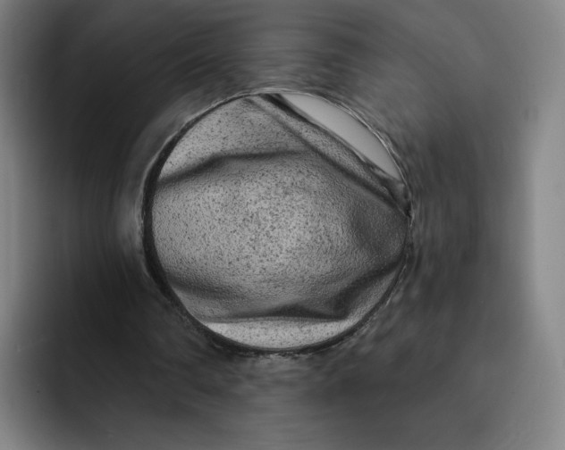 X0000091890290200709261644