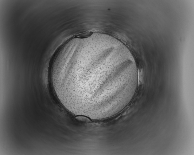 X0000091890291200709261644