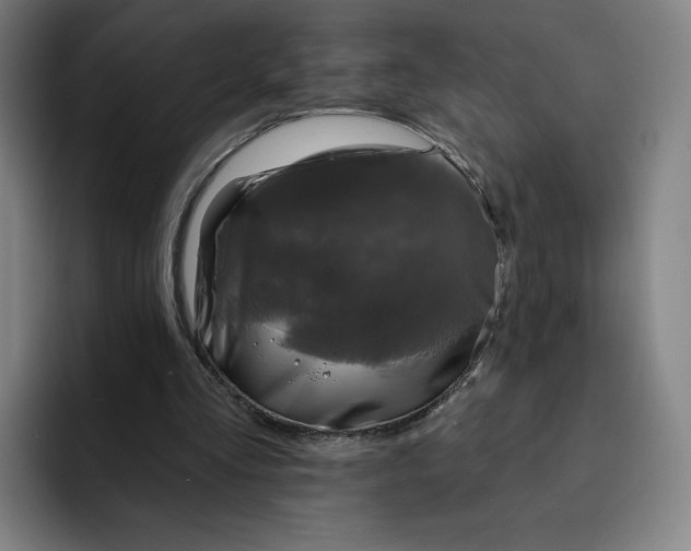 X0000091890293200709261644