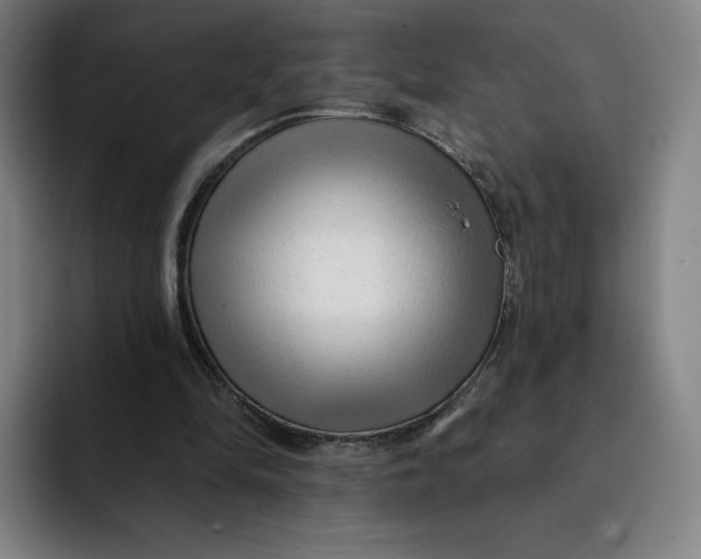 X0000091890294200709261644