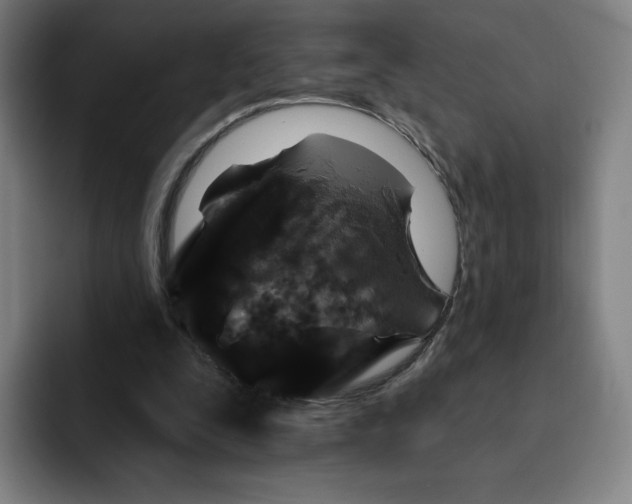 X0000091890295200709261644