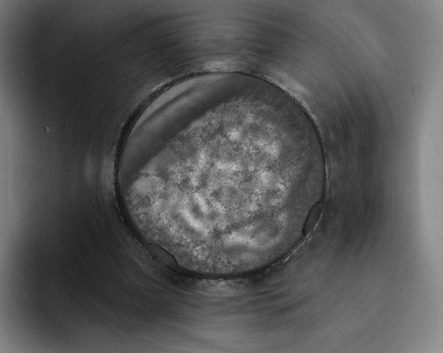 X0000091890297200709261644