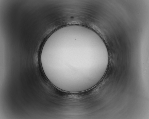 X0000091890298200709261644