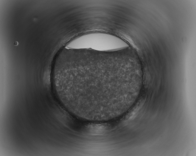 X0000091890299200709261644
