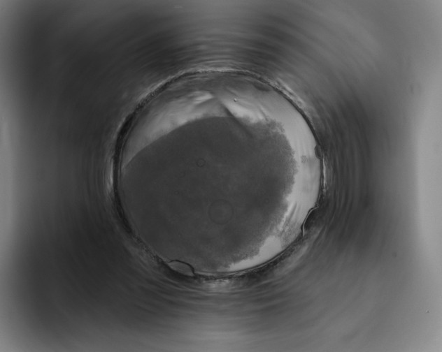 X0000091890301200709261644