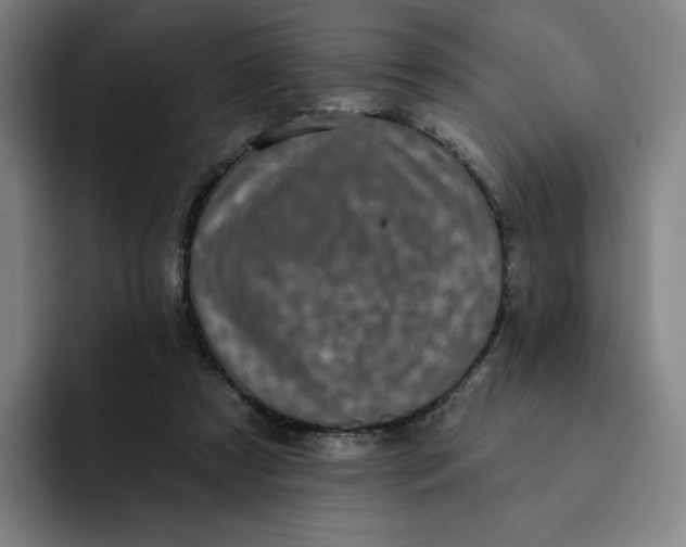 X0000091890305200709261644