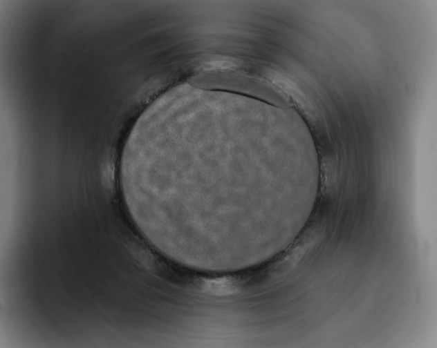 X0000091890309200709261644