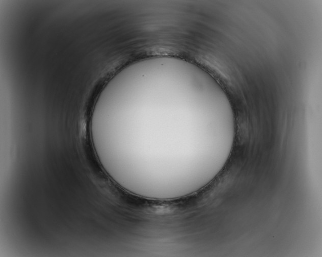 X0000091890310200709261644
