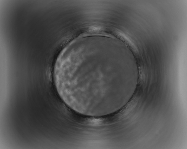 X0000091890313200709261644