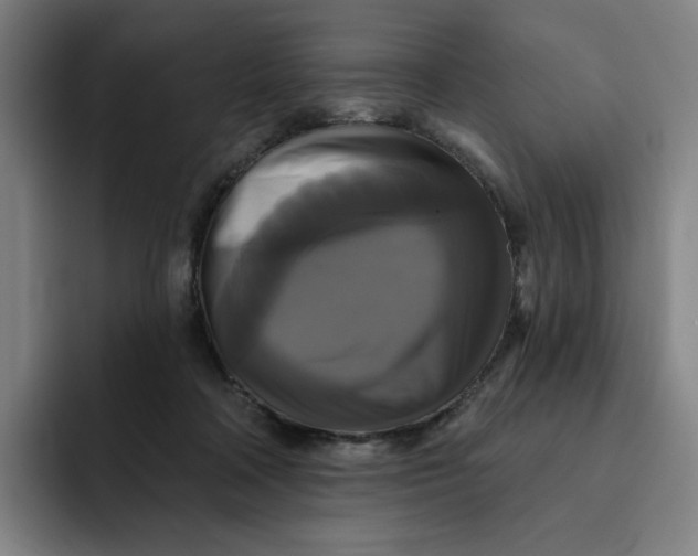 X0000091890314200709261644