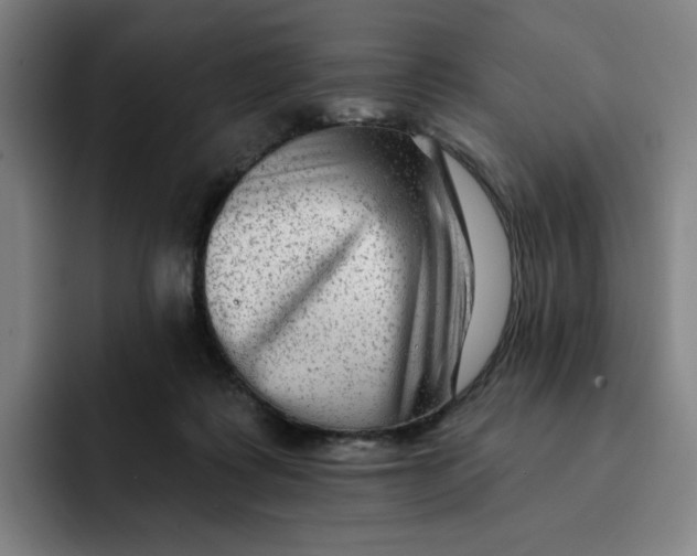 X0000091890315200709261644