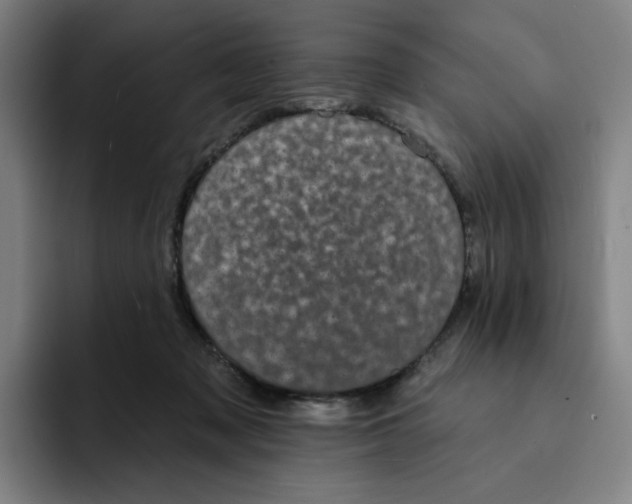 X0000091890317200709261644
