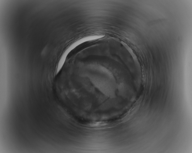 X0000091890319200709261644