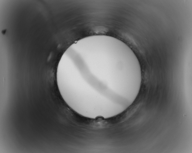 X0000091890321200709261644