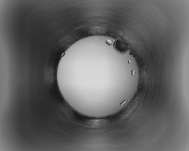 X0000091890323200709261644