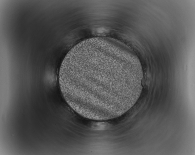 X0000091890324200709261644