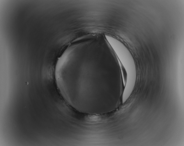 X0000091890325200709261644